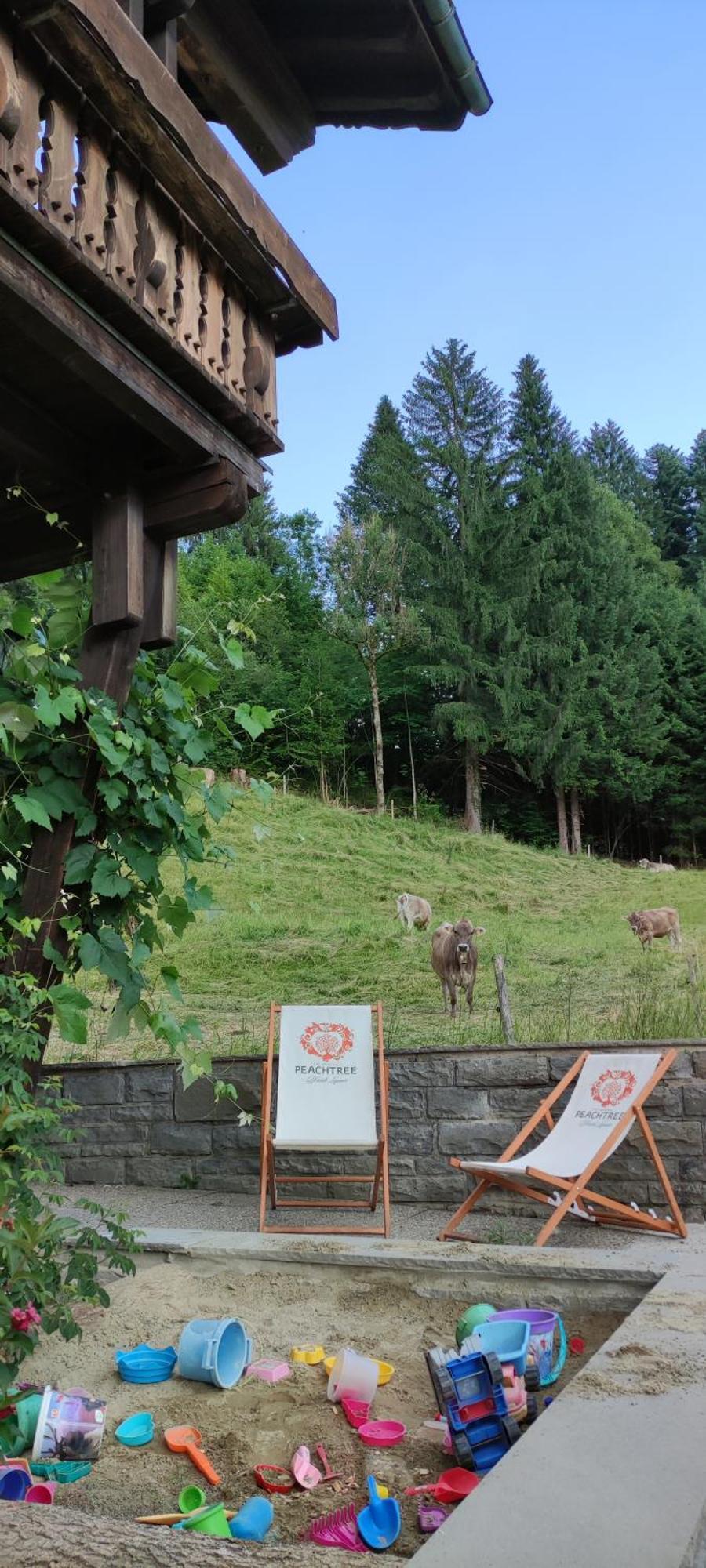 Ferienhaus Am Berg Oberstaufen Exterior photo